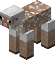 Sheep