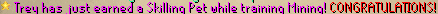Skilling pet