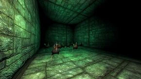 StrangeCaveChickenRoom