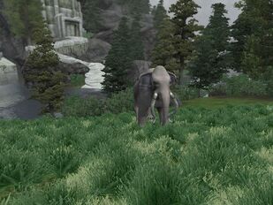Mammoth
