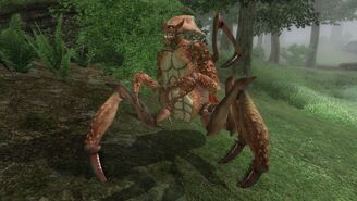 Sea Monster