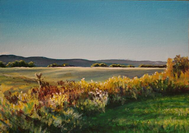 File:SunsetShadowsOnUplandPasture-795285.jpg