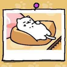 Tubbs Neko Atsume Wiki Fandom