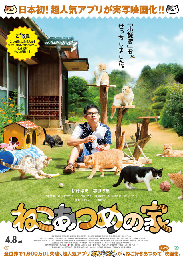 neko atsume no ie neko atsume wiki fandom powered by wikia