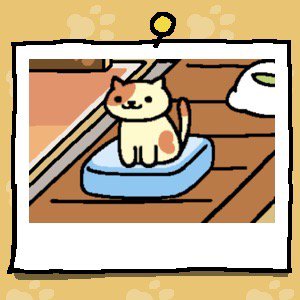 no daily password on neko atsume game no daily password on neko atsume game