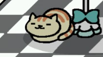 Apricot z paskami