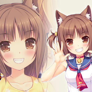 Wallpaper Nekopara Vol 0 Steam Trading Cards Nekopara Wiki Fandom Free