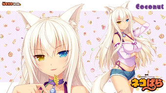 Coconut Nekopara Wiki Fandom