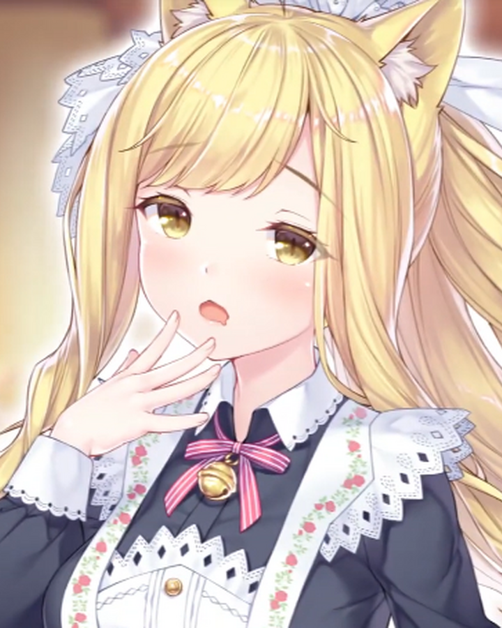 Charlotte Nekopara Wiki Fandom