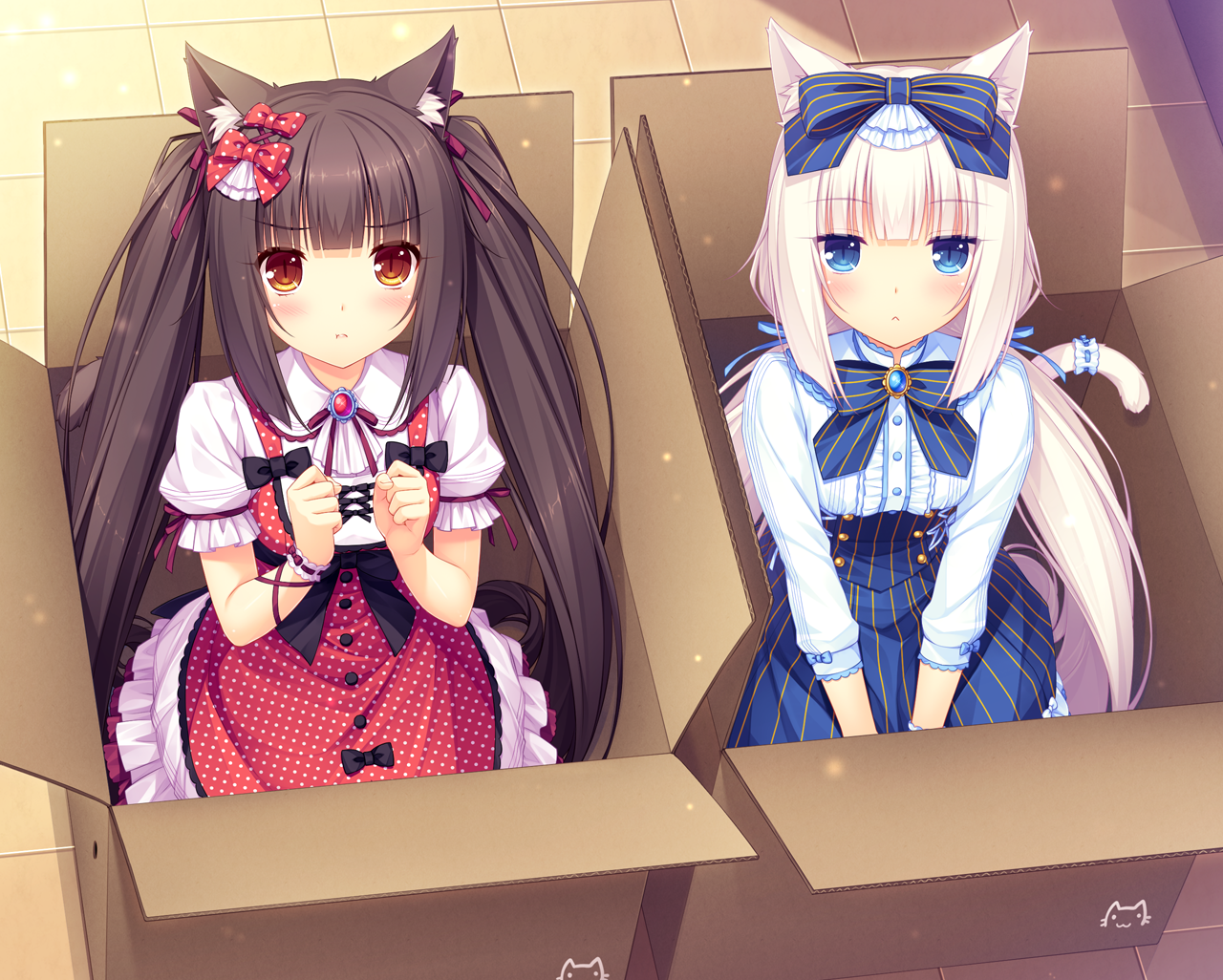 Image Vanilla And Chocola In Boxpng Nekopara Wiki Fandom Powered By Wikia