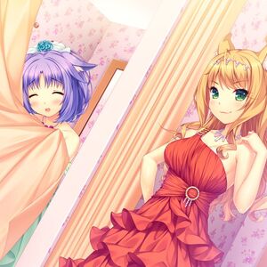Get Wallpaper Maple Image Gallery Nekopara Wiki Fandom Desktop Wallpaper