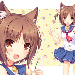 Wallpaper Nekopara Vol 1 Steam Trading Cards Nekopara Wiki Fandom Free HD