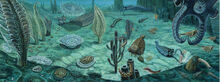 Ediacara