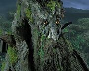 Treebeard