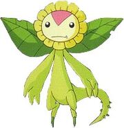 Sunflowmonnew