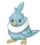 Birdblue01-hd