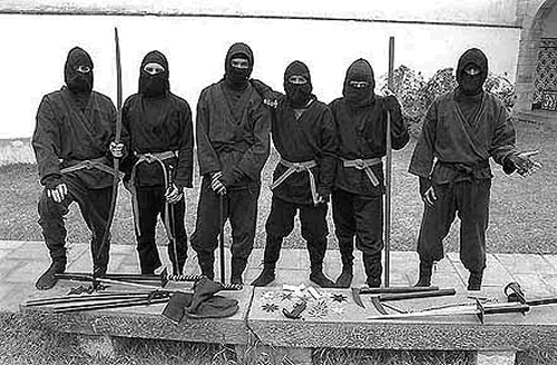 Ninja true ninjas