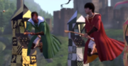 Bernie's Quidditch match