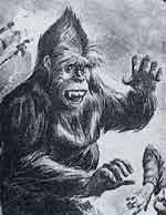 Yeti