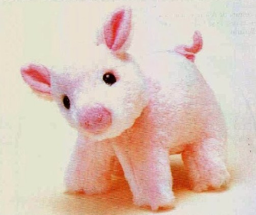 pig stuffed animal pattern