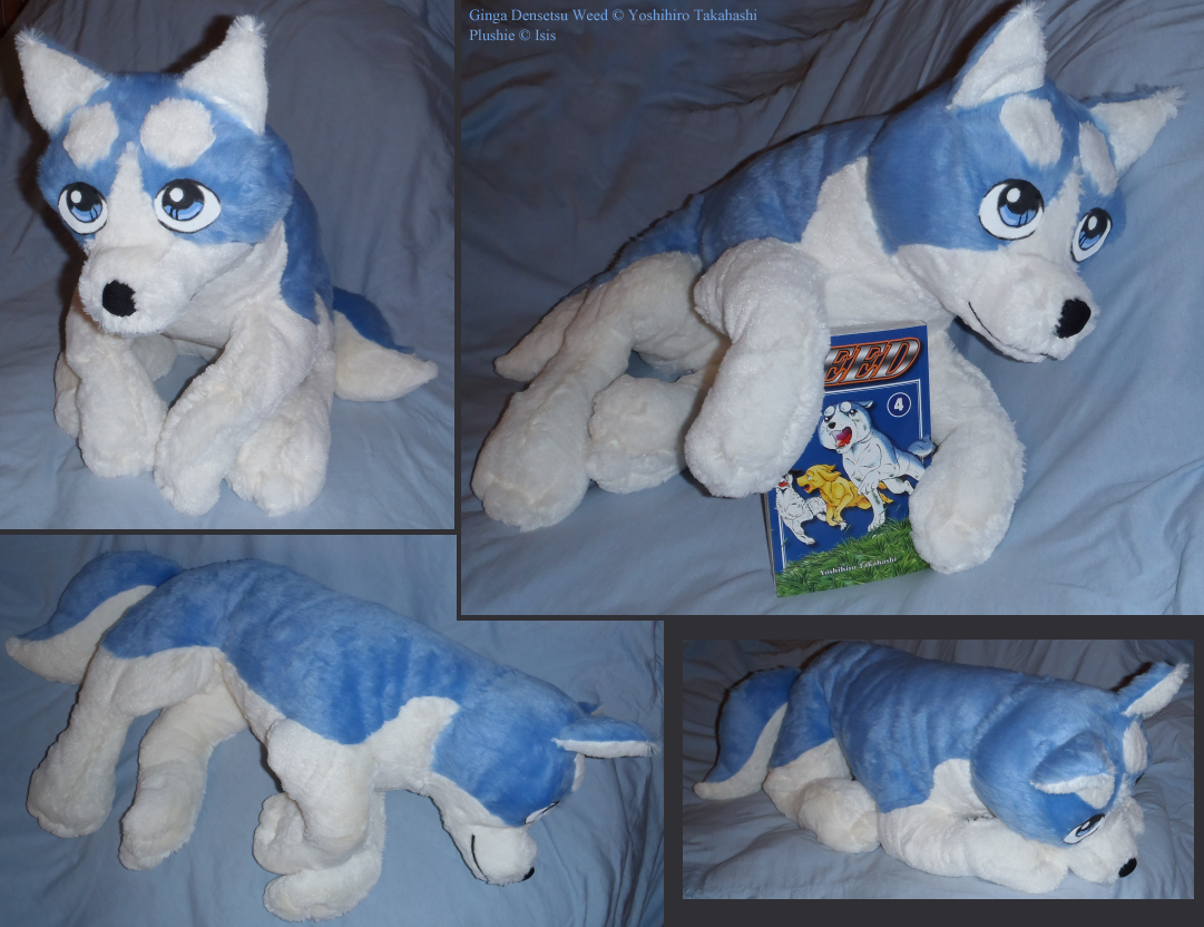 husky plush pattern