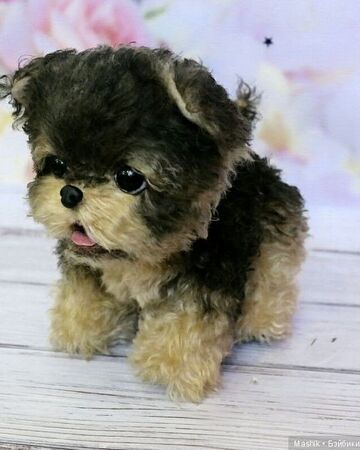 Yorkshire Terrier Plushie Sewing Pattern Sheryaeva Daria Nerdy