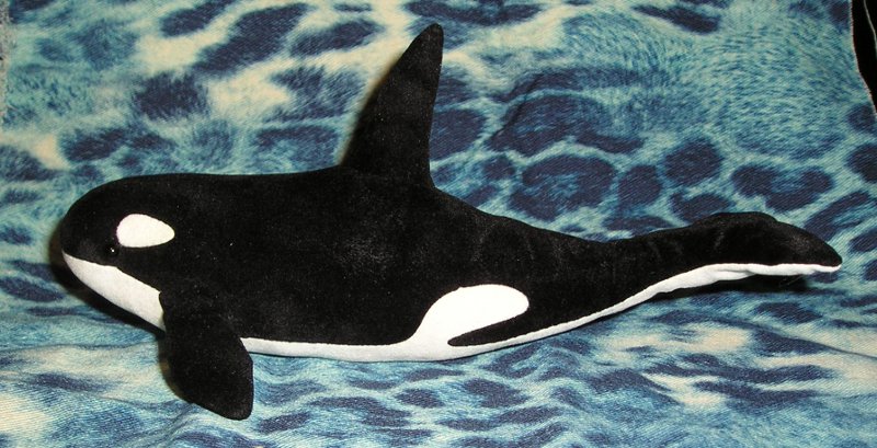 orca plushie