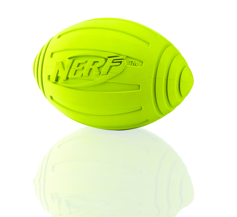 nerf rugby ball dog
