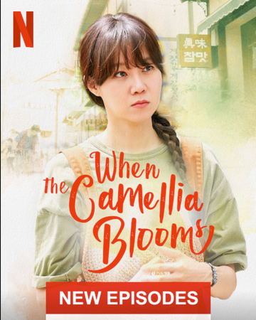 When The Camellia Blooms Netflix Wiki Fandom