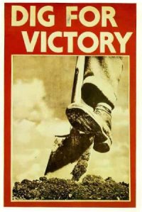 Digforvictory