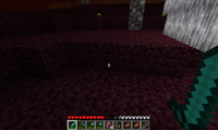 Netherdirt
