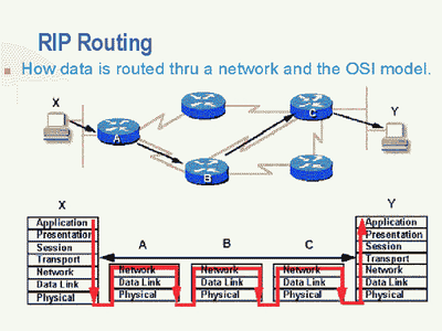 Rip Diagram
