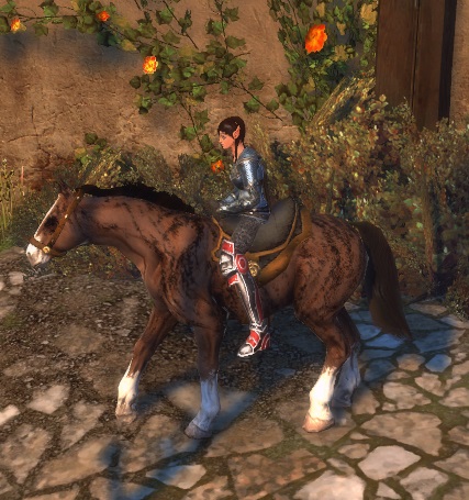 neverwinter wiki neverwinter wiki