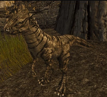 Charcoal Dustrunner Raptor