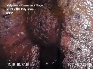 SEWER-BLOB2