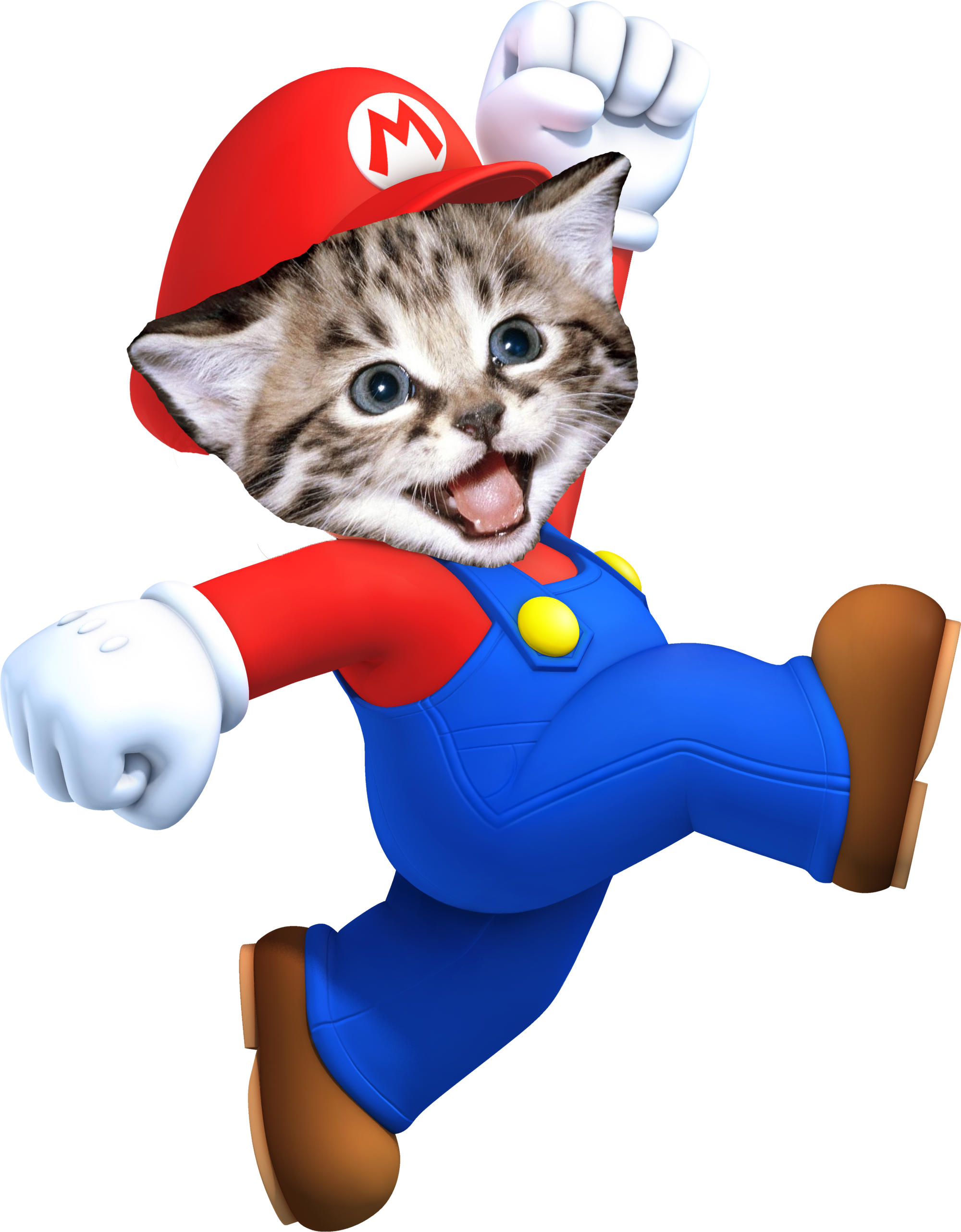 Cat mario как пройти