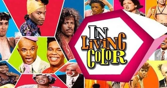 Image result for In Living Color