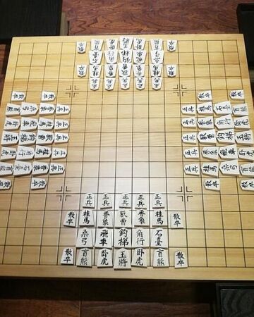 箱入将棋 新棋吧wiki Fandom