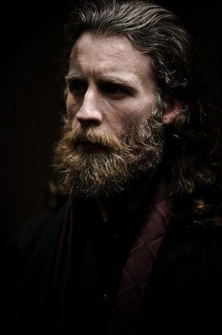 File:Ef50e370e01ea51ace940cf856a3b29f--epic-beard-man-beard.jpg