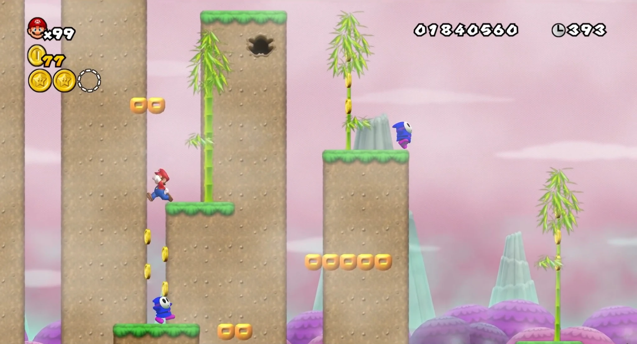 Bamboo Steppes Newer Super Mario Bros. Wiki FANDOM powered by Wikia