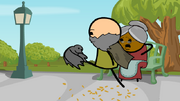 Pigeon!