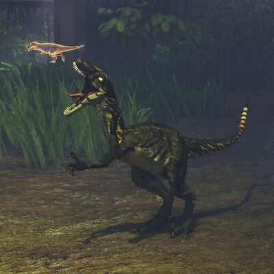 Free Wiki Skins