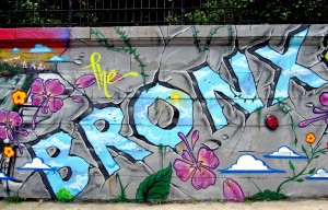 Bronx1