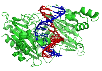 Analisis De Interaccion Adn Proteinas Next Generation Sequencing Wiki Fandom