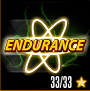 NFSSEndurance