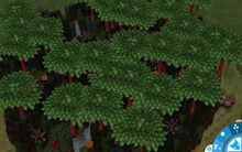 Deep Jungle