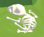 Skeleton