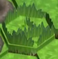 Regrowing grass
