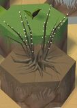 Spiky Bush