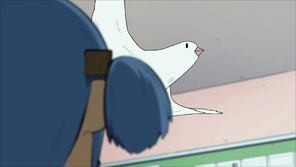FLY